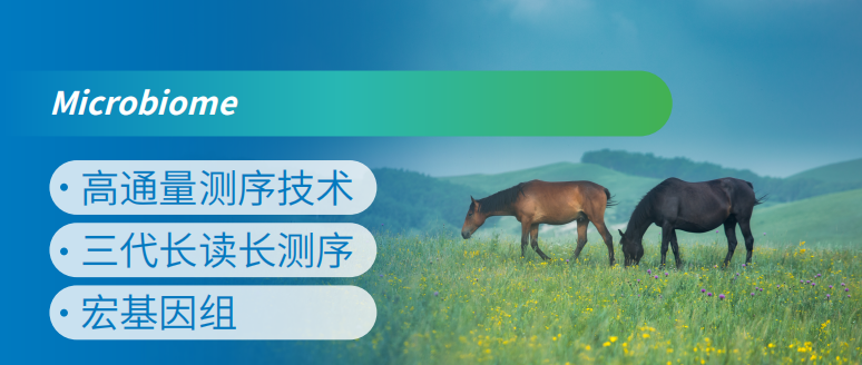 鼯о