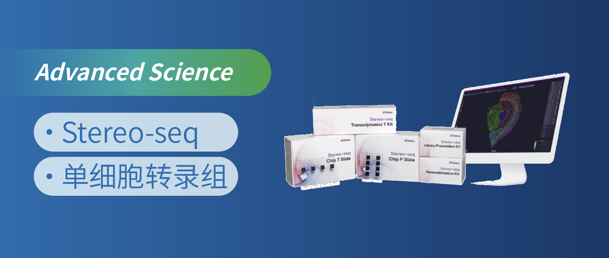 Stereo-seq̥ϸĵػ